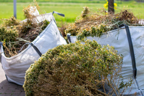 Best Construction Debris Removal  in Springerville, AZ