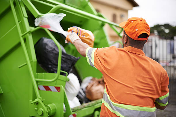 Best Commercial Junk Removal  in Springerville, AZ